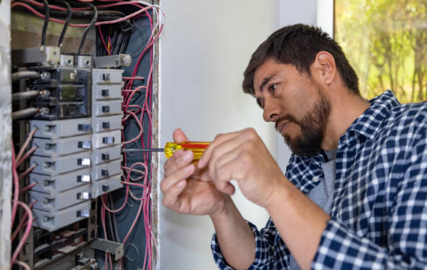 Best Electric Panel Repair  in Dock Junction, GA